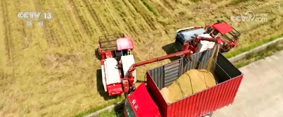 强农惠农富农 健全种粮农民收益保障机制 强农惠农富农 健全种粮农民收益保障机制
