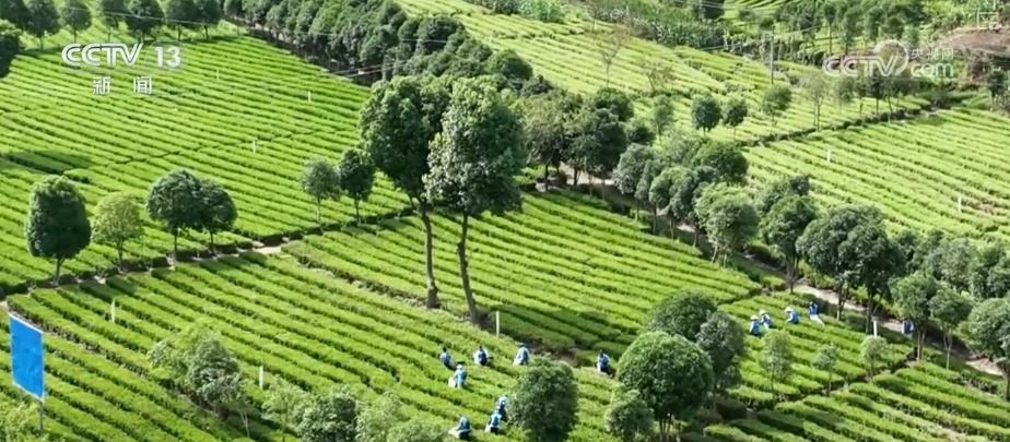 强农惠农富农 健全种粮农民收益保障机制 强农惠农富农 健全种粮农民收益保障机制