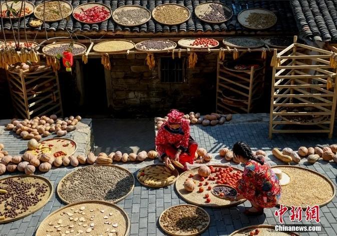 王宏超：哪些域外传入“消夏良品”助中国古人度夏日？