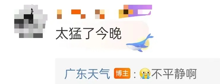 停运！关闭！广州多个预警信号生效中
