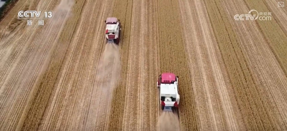 强农惠农富农 健全种粮农民收益保障机制 强农惠农富农 健全种粮农民收益保障机制