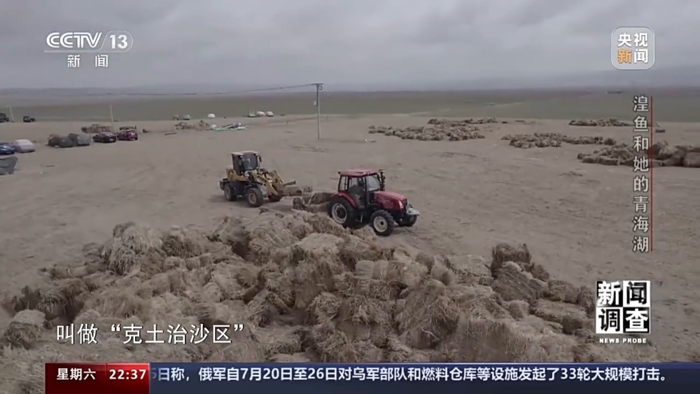 拯救濒危湟鱼青海湖如何再现半河清水半河鱼？