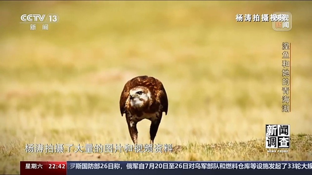 拯救濒危湟鱼青海湖如何再现半河清水半河鱼？