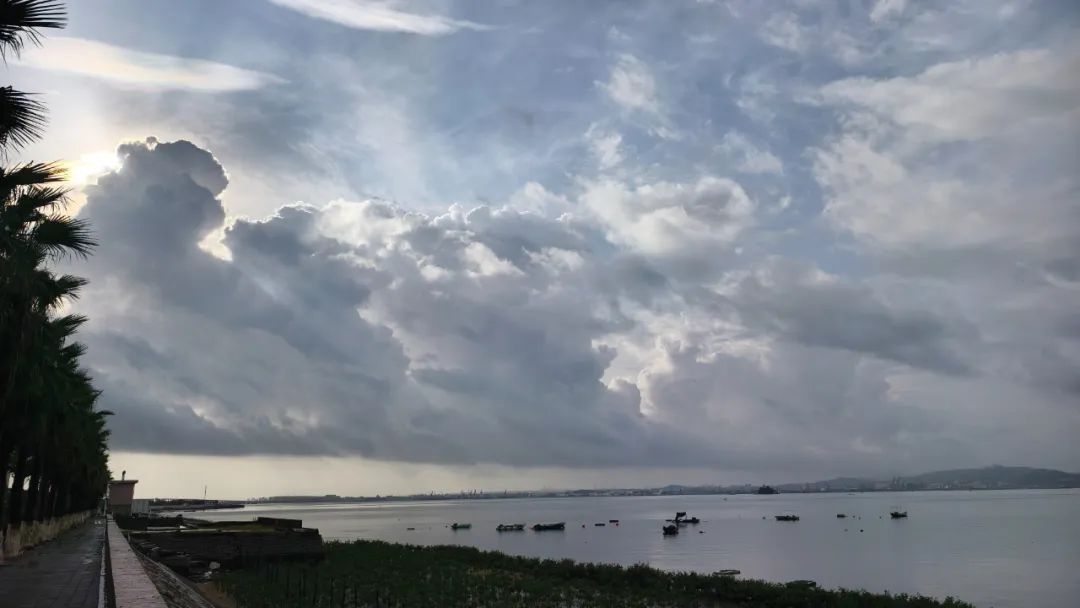 厦门结束应急响应! 厦门结束应急响应!