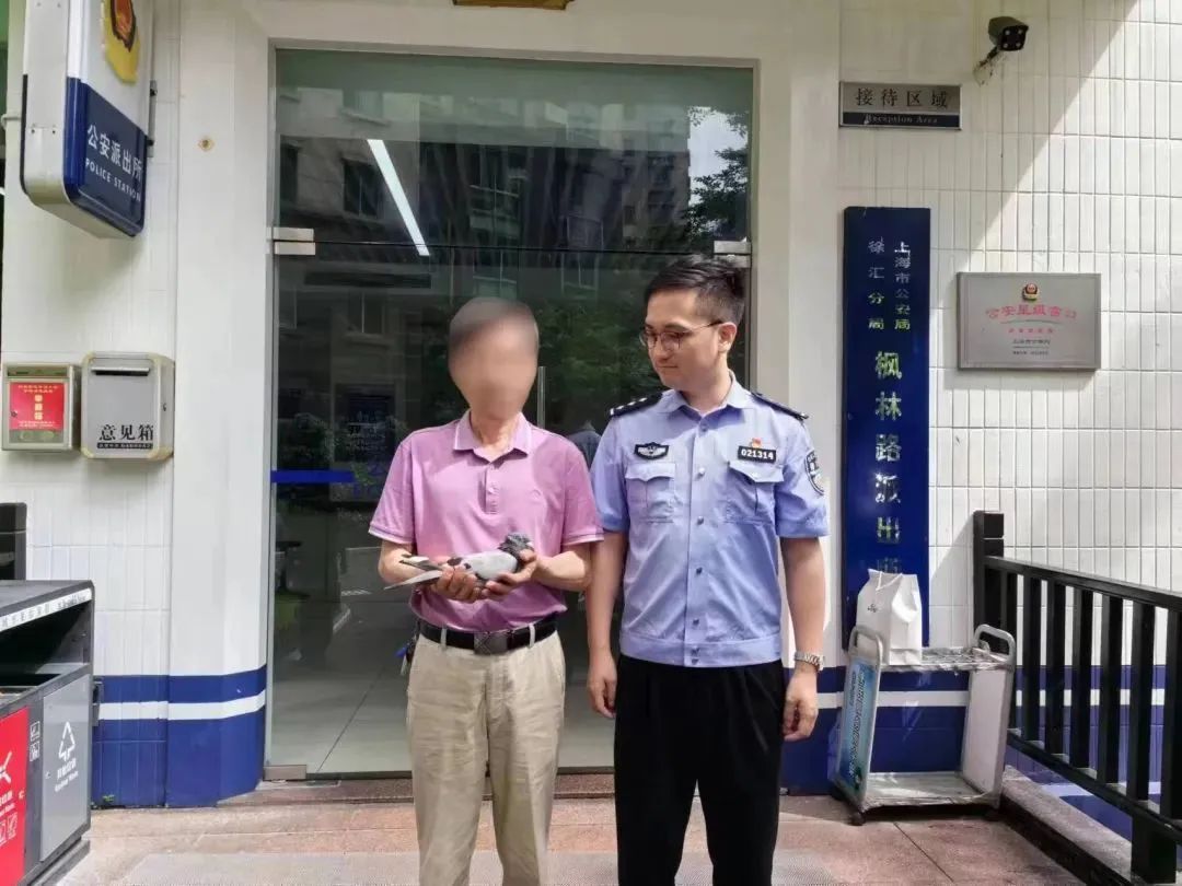 信鸽也会"迷路"?快来帮它找家! 信鸽也会"迷路"?快来帮它找家!