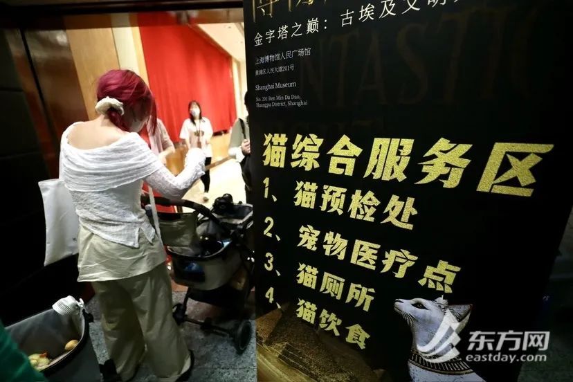 上海博物馆首场奇“喵”夜,200只猫咪盛装出席!“带我家社牛猫来看埃及老祖宗” 上海博物馆首场奇“喵”夜,200只猫咪盛装出席!“带我家社牛猫来看埃及老祖宗”