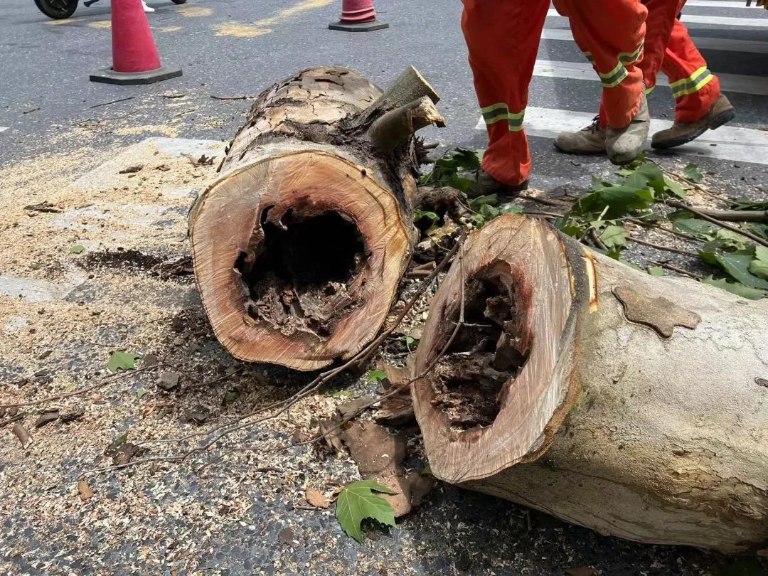 事发上海街头！一“闪送”小哥被砸身亡！紧急提醒：今天外出需特别注意→