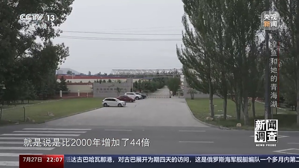 拯救濒危湟鱼青海湖如何再现半河清水半河鱼？