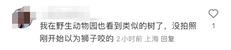 事发上海街头！一“闪送”小哥被砸身亡！紧急提醒：今天外出需特别注意→