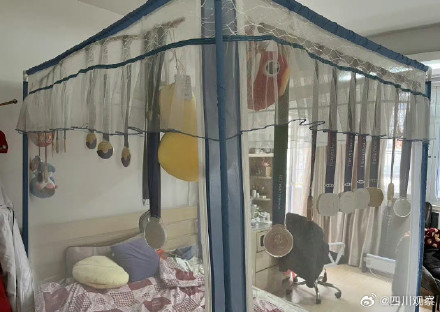 同款蚊帐哪买？潘展乐用奖牌装饰蚊帐