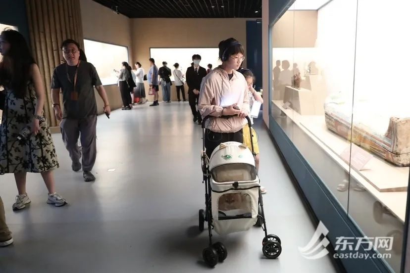 上海博物馆首场奇“喵”夜,200只猫咪盛装出席!“带我家社牛猫来看埃及老祖宗” 上海博物馆首场奇“喵”夜,200只猫咪盛装出席!“带我家社牛猫来看埃及老祖宗”