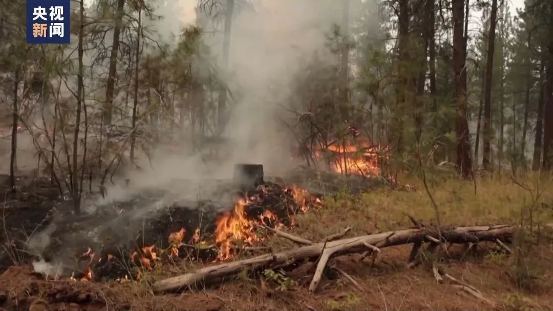 美国发生超百处大型野火!数千人逃离 美国发生超百处大型野火!数千人逃离