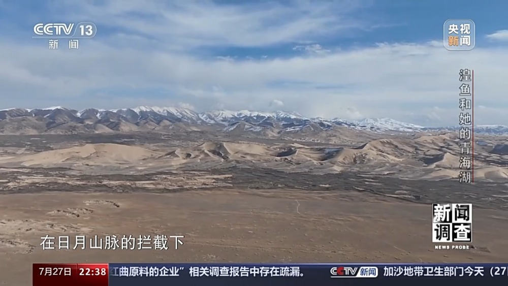 拯救濒危湟鱼青海湖如何再现半河清水半河鱼？