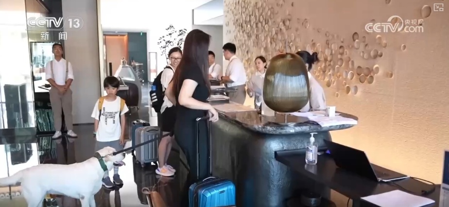 “宠物友好”撬动“大产业” “土”特产蓬勃发展“出海”忙