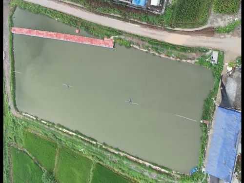 钓到奖2万?这种鱼,钓不得! 钓到奖2万?这种鱼,钓不得!