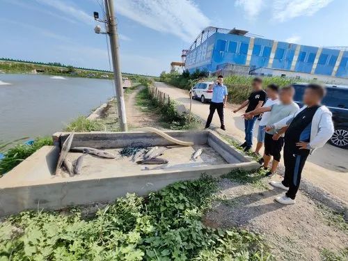 钓到奖2万?这种鱼,钓不得! 钓到奖2万?这种鱼,钓不得!