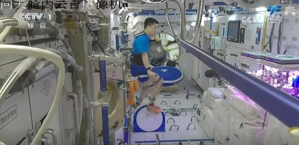 神舟十八号乘组“太空出差”过半 多项空间科学实验和试验任务进展顺利 神舟十八号乘组“太空出差”过半 多项空间科学实验和试验任务进展顺利