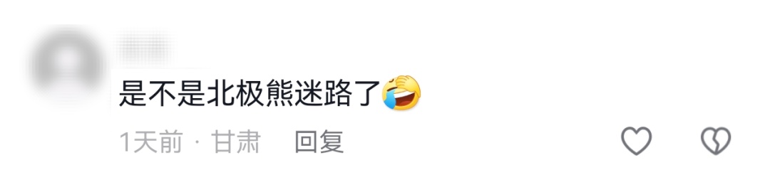 新疆发现罕见白色棕熊!网友:是不是北极熊迷路了? 新疆发现罕见白色棕熊!网友:是不是北极熊迷路了?