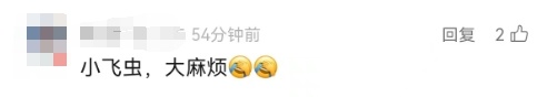 最近上海几乎家家都有的小虫，竟然这么毒？男子拍死一只，被迫摘除眼球……