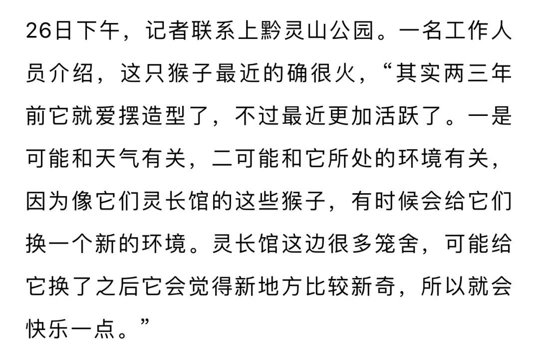 嘟嘴指天爱凹造型，黔灵山公园一猴子火了！工作人员：是只藏酋猴，“演”了两三年