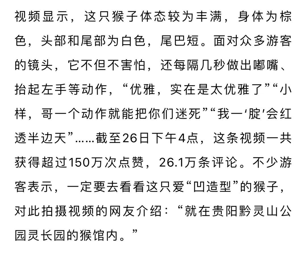 嘟嘴指天爱凹造型，黔灵山公园一猴子火了！工作人员：是只藏酋猴，“演”了两三年