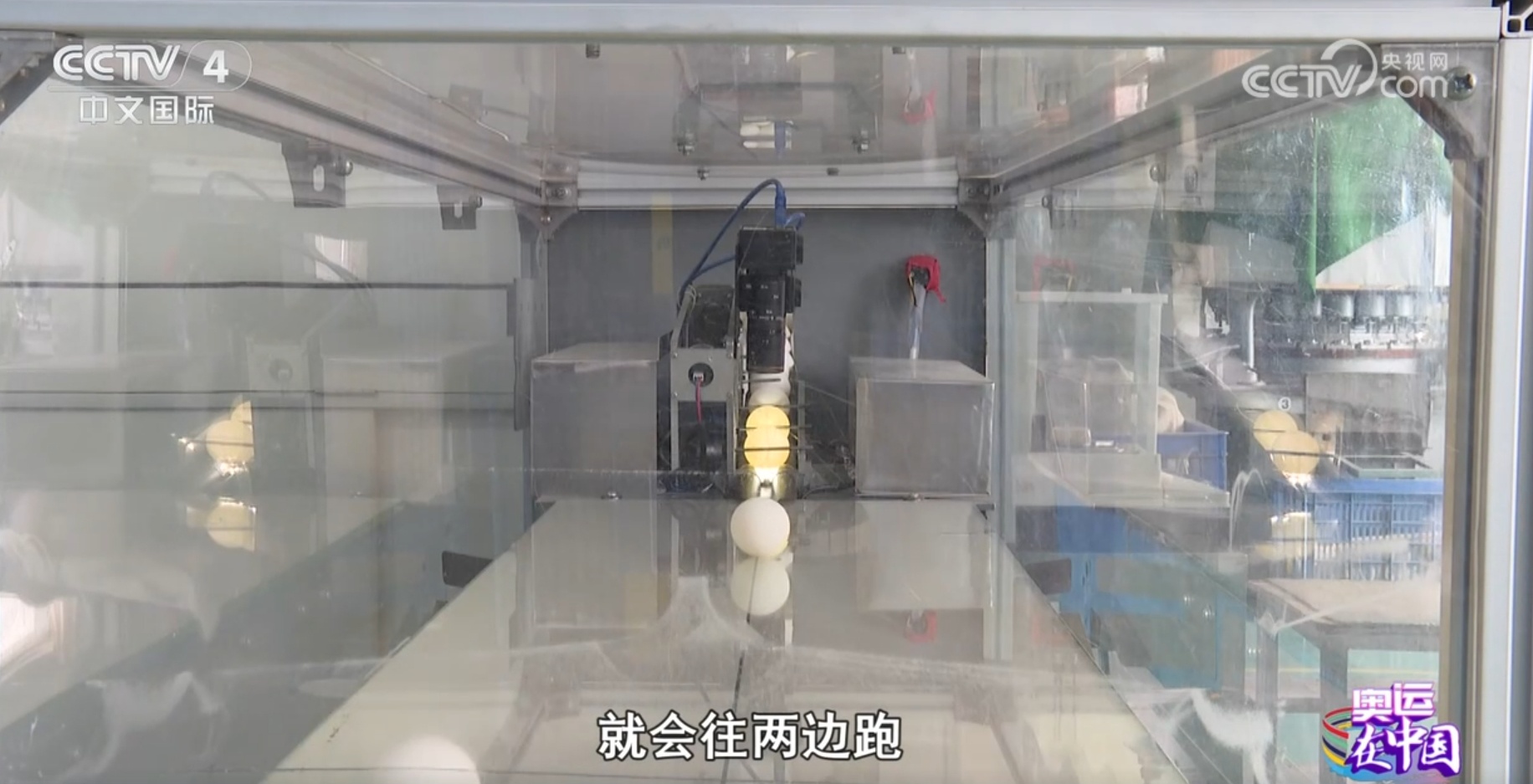 “小乒乓”内有“大乾坤” “中国制造”在奥运赛场“大放异彩”