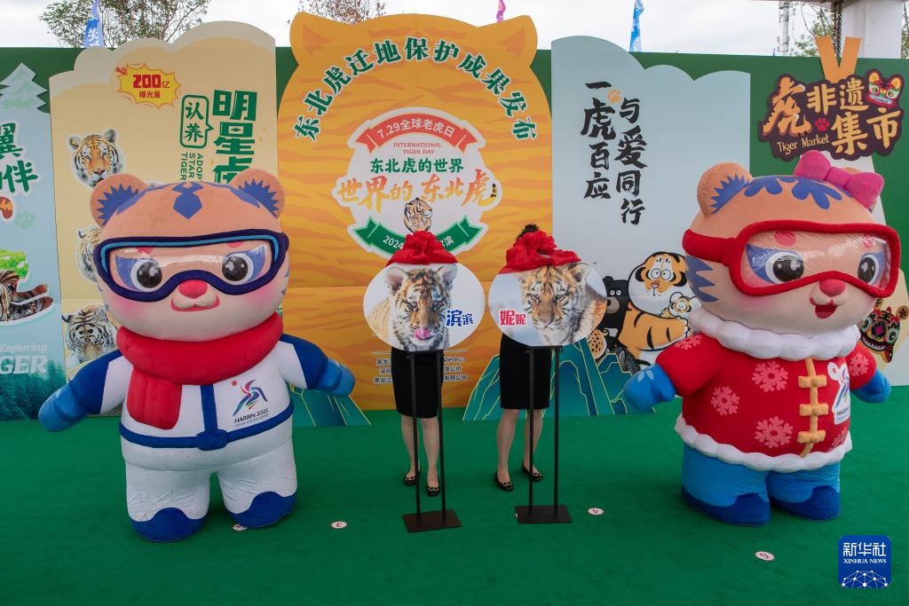 “全球老虎日”走进黑龙江东北虎林园