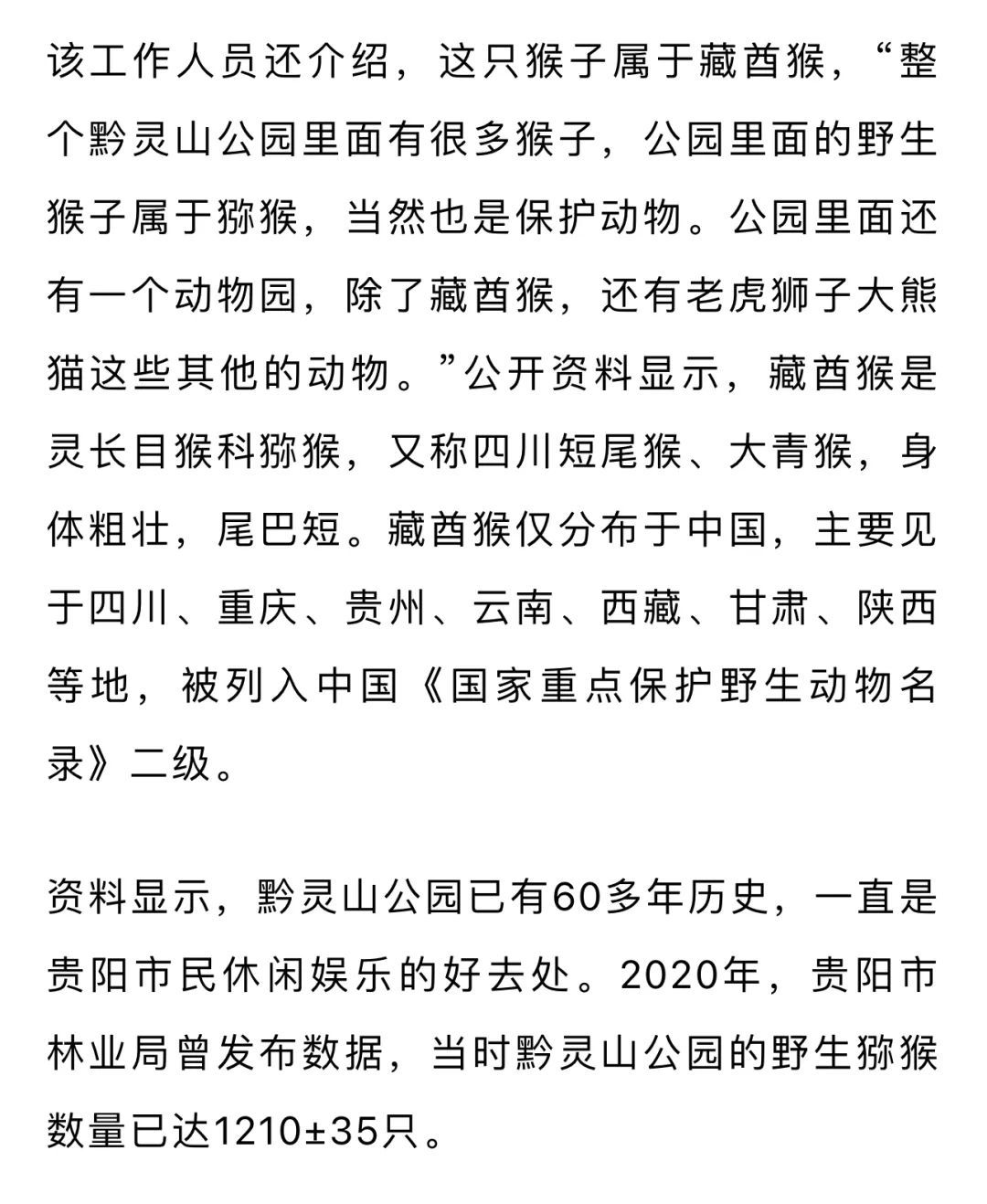 嘟嘴指天爱凹造型，黔灵山公园一猴子火了！工作人员：是只藏酋猴，“演”了两三年
