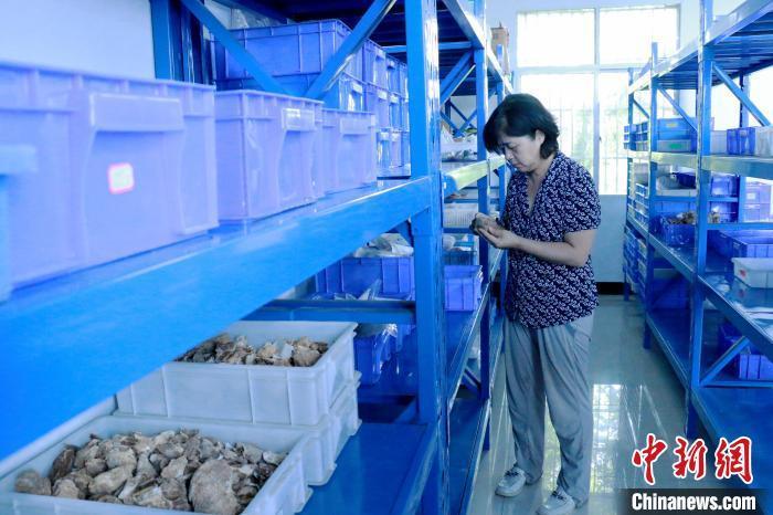 30万年前古人类喜欢吃什么?考古人员起底饮食清单 30万年前古人类喜欢吃什么?考古人员起底饮食清单