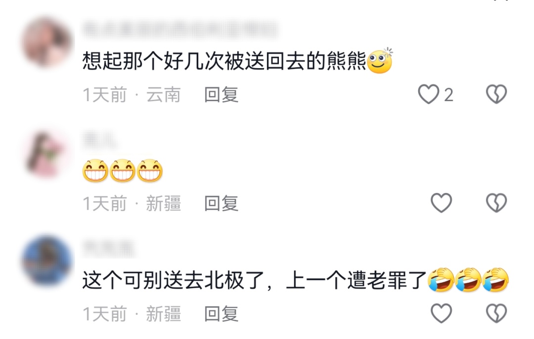 新疆发现罕见白色棕熊!网友:是不是北极熊迷路了? 新疆发现罕见白色棕熊!网友:是不是北极熊迷路了?