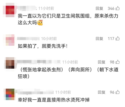 最近上海几乎家家都有的小虫，竟然这么毒？男子拍死一只，被迫摘除眼球……