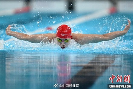 张雨霏世界纪录目标不变