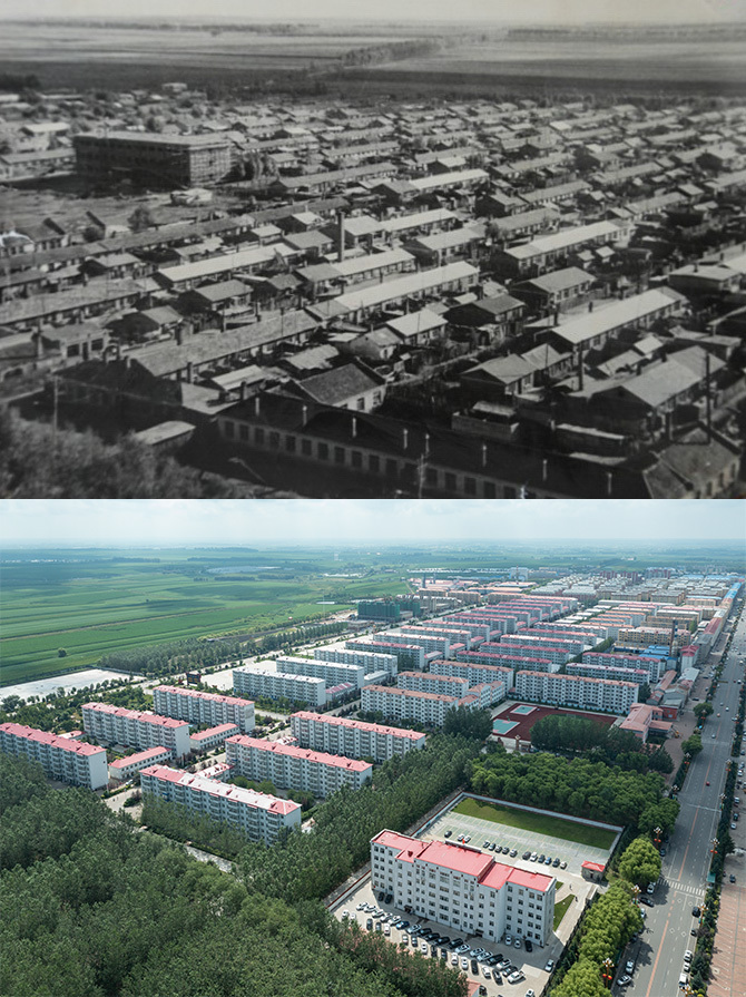 改革故事丨从“一木独大”到“三绿并举” 改革故事丨从“一木独大”到“三绿并举”