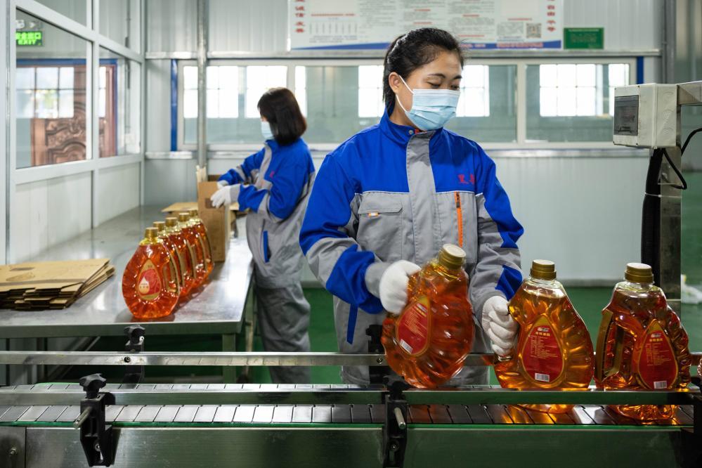 改革故事丨从“一木独大”到“三绿并举” 改革故事丨从“一木独大”到“三绿并举”