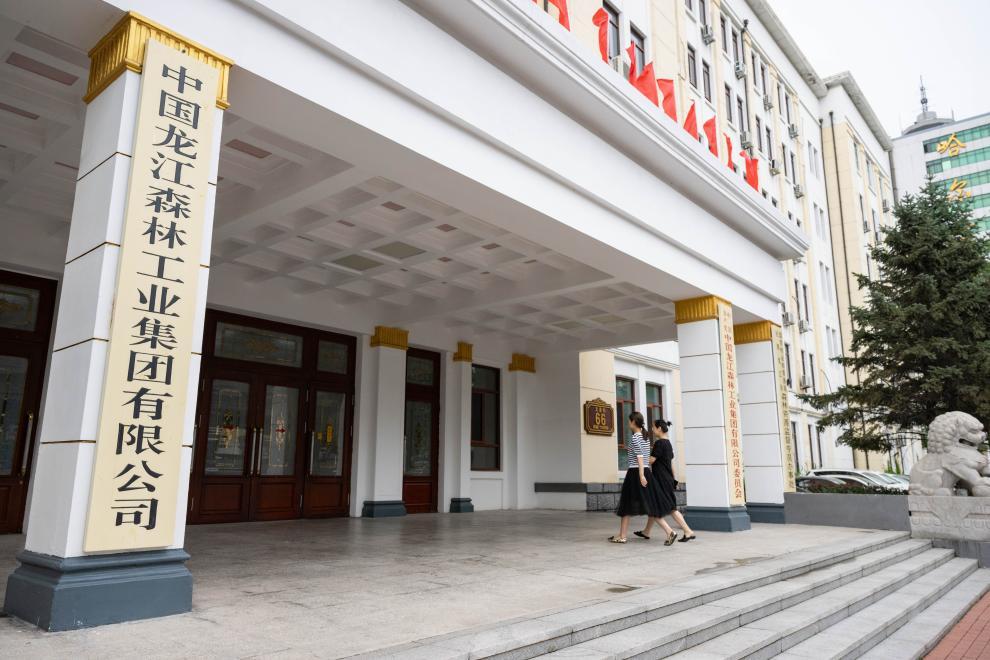 改革故事丨从“一木独大”到“三绿并举” 改革故事丨从“一木独大”到“三绿并举”