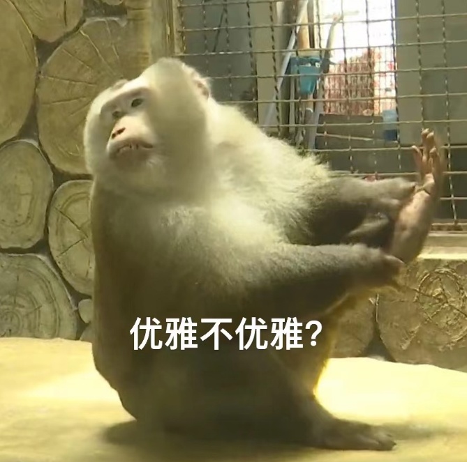 抬眼、噘嘴...每个动作都是表情包!贵阳这只爱凹造型的“猴哥”迷倒一众游客 抬眼、噘嘴...每个动作都是表情包!贵阳这只爱凹造型的“猴哥”迷倒一众游客