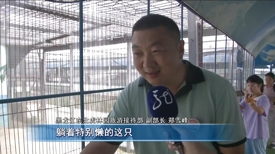 “真身”在此！亚冬会吉祥物“滨滨”“妮妮”原型长大了