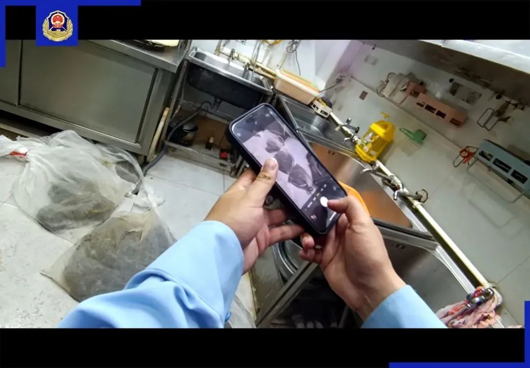 执法人员吓出尖叫!上海一餐饮店卖蛇肉被举报,现场查获活蛇数量惊人…… 执法人员吓出尖叫!上海一餐饮店卖蛇肉被举报,现场查获活蛇数量惊人……