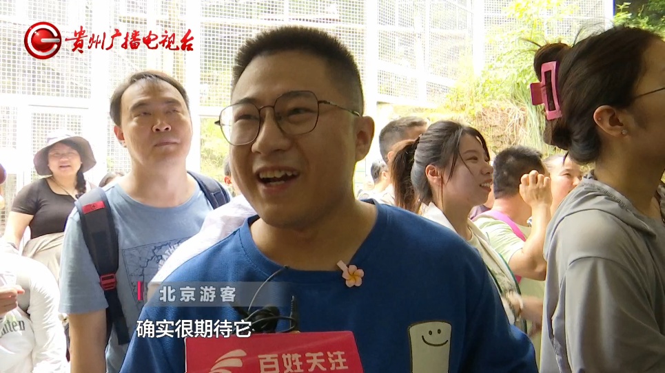 抬眼、噘嘴...每个动作都是表情包!贵阳这只爱凹造型的“猴哥”迷倒一众游客 抬眼、噘嘴...每个动作都是表情包!贵阳这只爱凹造型的“猴哥”迷倒一众游客