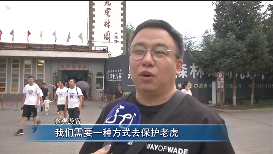 “真身”在此！亚冬会吉祥物“滨滨”“妮妮”原型长大了