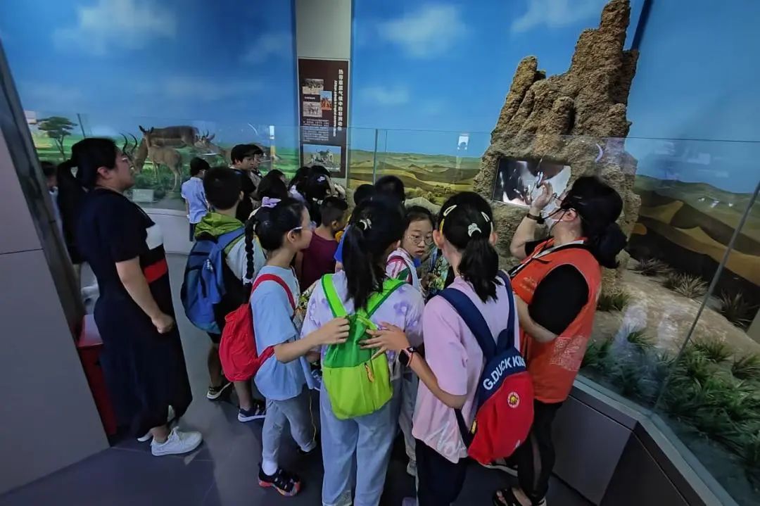 科协动态 | 探寻自然奥秘 感知生命脉动——椿树馆社区青少年“行走课堂”系列活动之走进自然博物馆 科协动态 | 探寻自然奥秘 感知生命脉动——椿树馆社区青少年“行走课堂”系列活动之走进自然博物馆