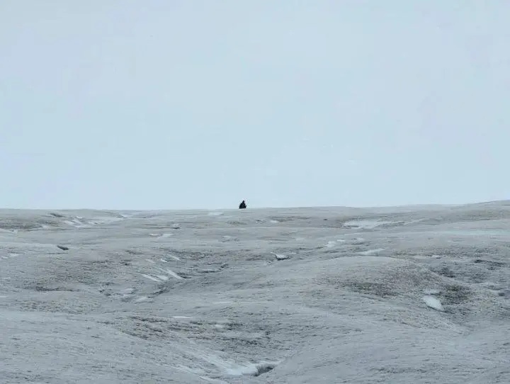 90后女生无人区失联10天!家属重金30万求助 90后女生无人区失联10天!家属重金30万求助