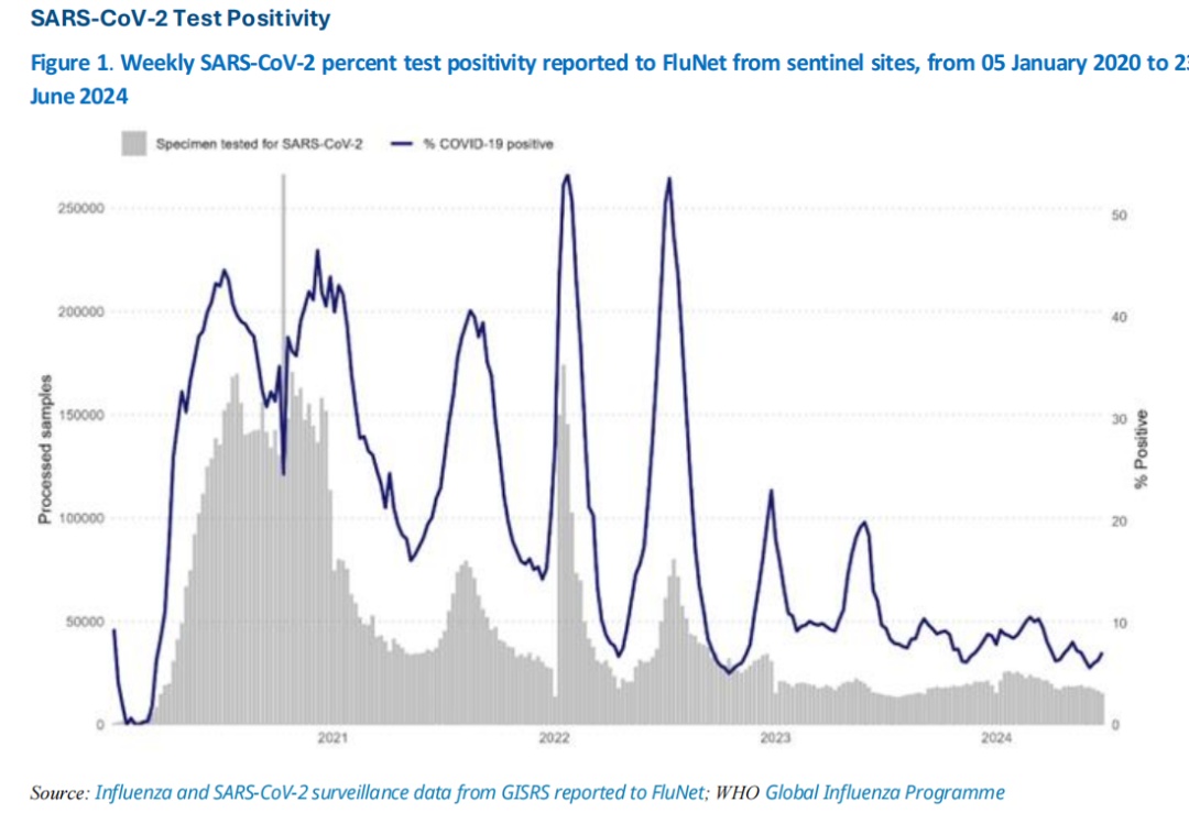 “又阳了”?新冠现抬头趋势,中疾控首次提出XDV变异株→ “又阳了”?新冠现抬头趋势,中疾控首次提出XDV变异株→