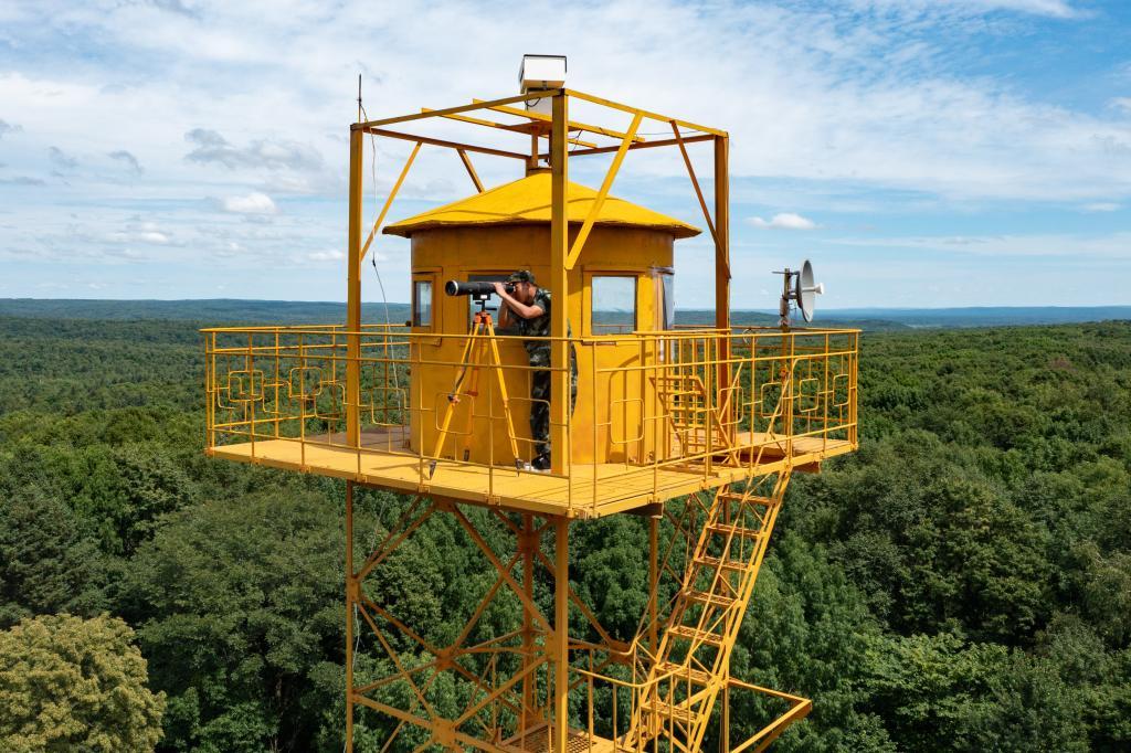 改革故事丨从“一木独大”到“三绿并举” 改革故事丨从“一木独大”到“三绿并举”