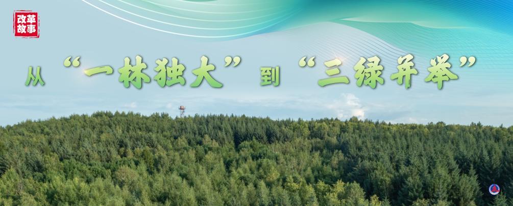 改革故事丨从“一木独大”到“三绿并举” 改革故事丨从“一木独大”到“三绿并举”