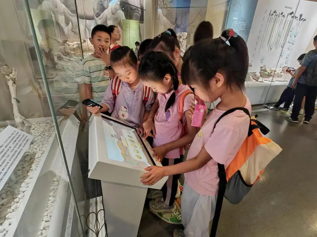 科协动态 | 探寻自然奥秘 感知生命脉动——椿树馆社区青少年“行走课堂”系列活动之走进自然博物馆 科协动态 | 探寻自然奥秘 感知生命脉动——椿树馆社区青少年“行走课堂”系列活动之走进自然博物馆