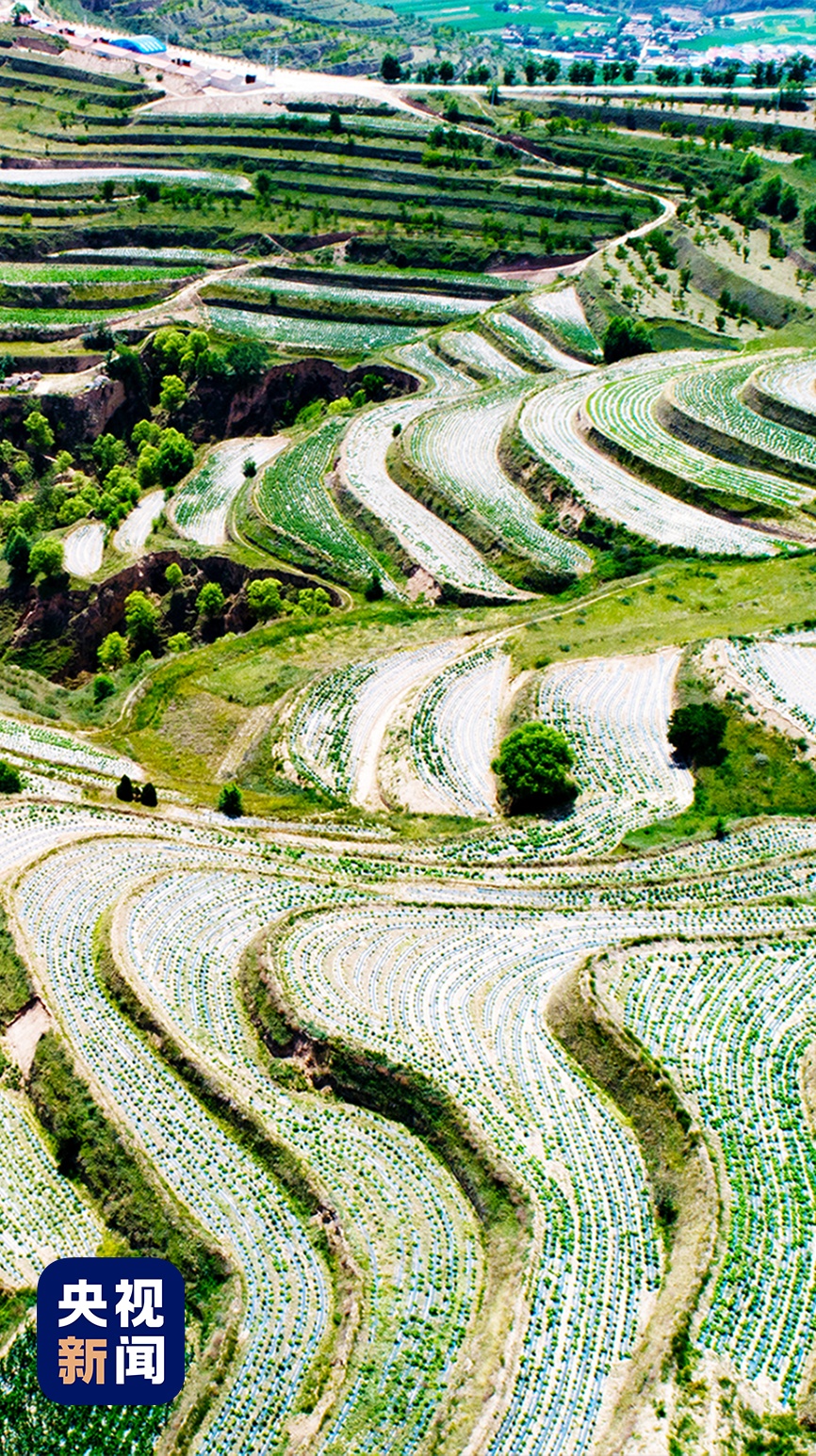 没看错吧！博物馆还能“煮”麻辣烫？
