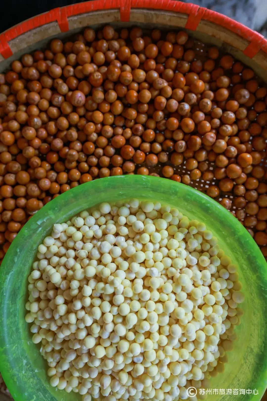 苏州人的“掌上明珠”上市！今年价格…