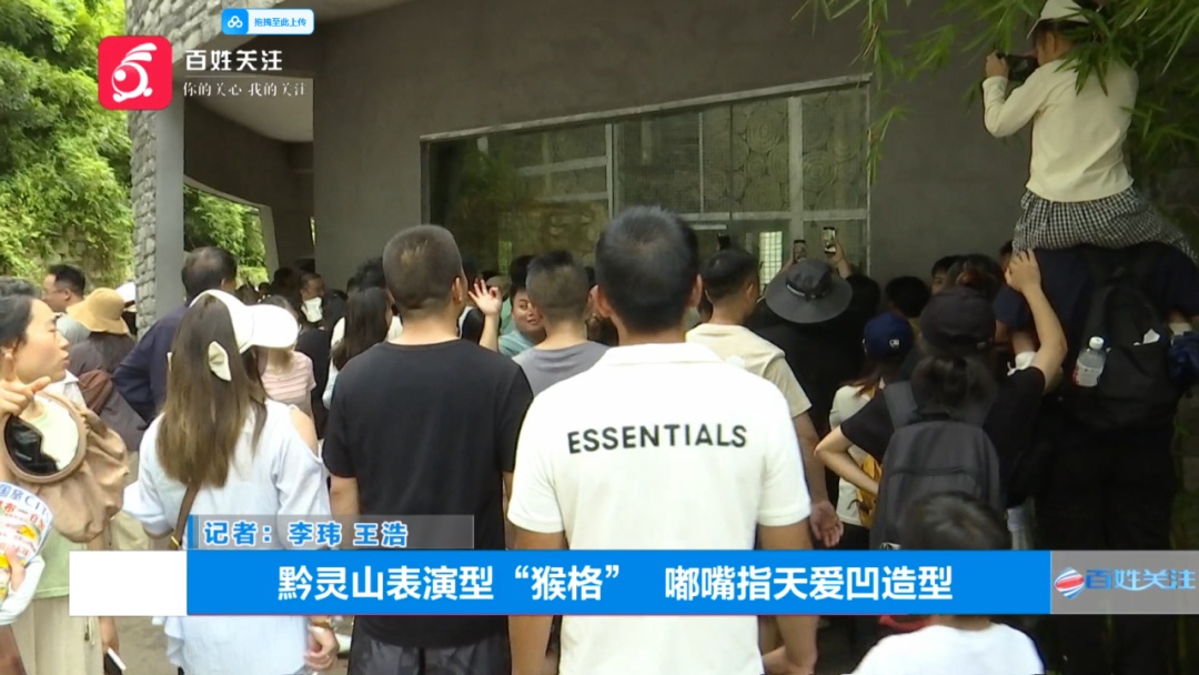 抬眼、噘嘴...每个动作都是表情包!贵阳这只爱凹造型的“猴哥”迷倒一众游客 抬眼、噘嘴...每个动作都是表情包!贵阳这只爱凹造型的“猴哥”迷倒一众游客