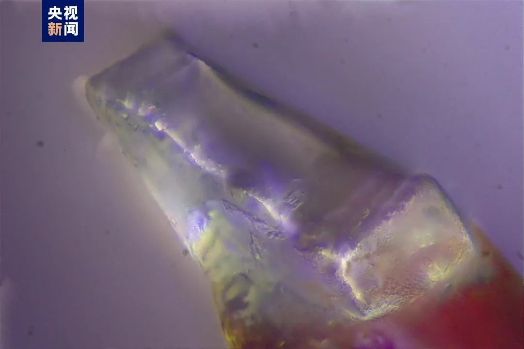 重大发现!我国科学家在月壤中首次发现分子水!你准备种点啥? 重大发现!我国科学家在月壤中首次发现分子水!你准备种点啥?